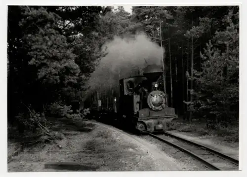 Foto Waldeisenbahn Muskau DDR 1977 Lok Nr 993312