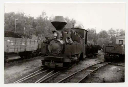 Foto Waldeisenbahn Muskau RBD Cottbus 1976