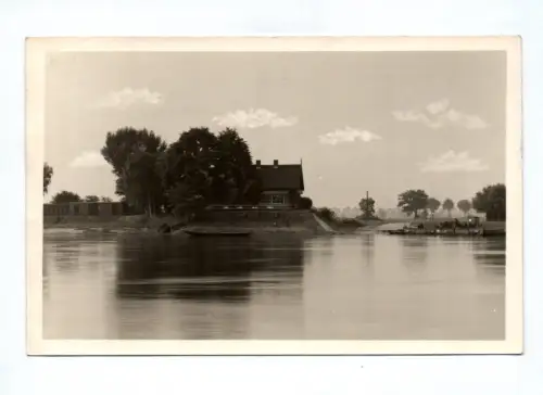 Foto Ak Moorbad Pretzsch Elbe Fährhaus mit Elbfähre 1956