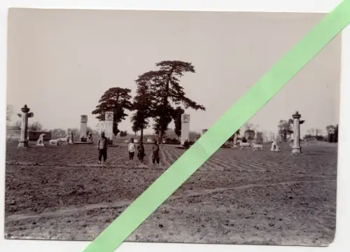 Altes Foto Mandarin Gräber Ming China 1900 old nahe Beijing Peking photo