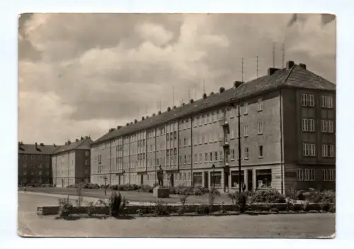 Foto Ak Sangerhausen Westsiedlung 1958