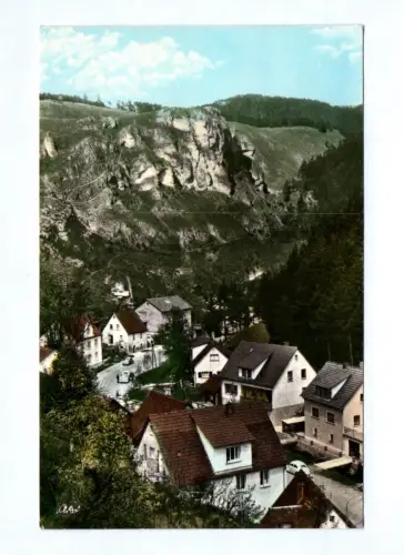 Künstler Ak Pottenstein Fränkische Schweiz 1966