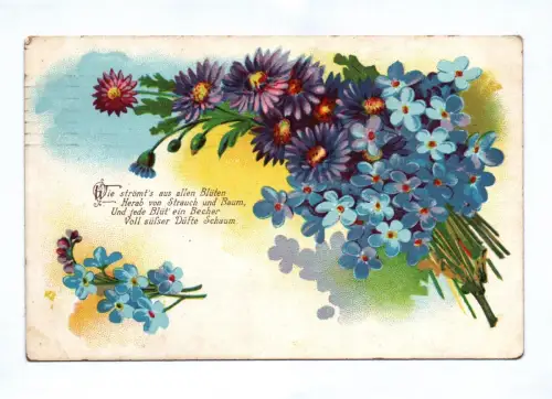 5x Litho Ak Blumen Sprüche Feldpost 1915