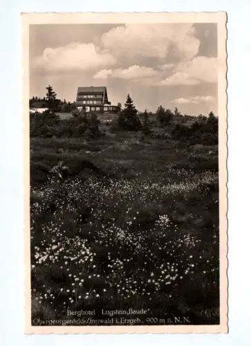 Foto Ak Berghotel Lugstein Baude am Georgenfelder Hochmoor 1940 Obergeorgenfeld