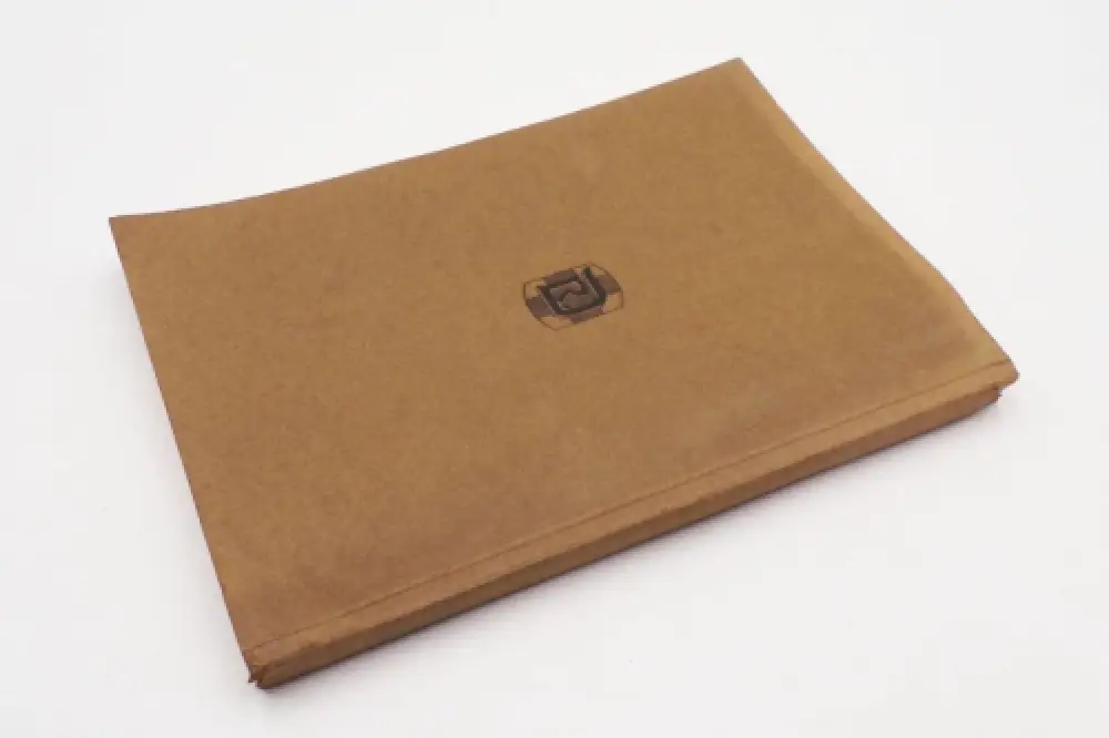 Rudolf Detert Berlin Instrumente für Ohr Nase Hals und Schlund Katalog um 1915 8