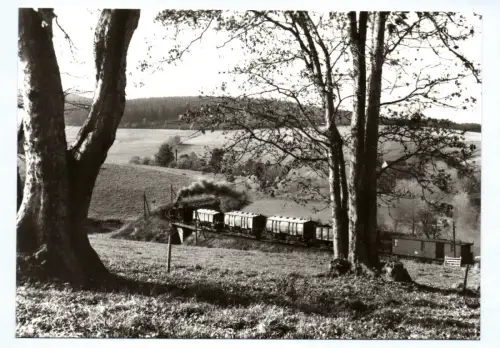 Foto Ak Dampflok Schmalspurbahn 1982 Cranzahl - Oberwiesenthal Eisenbahn