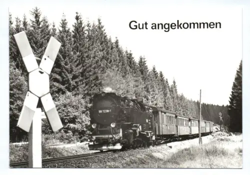 Foto Ak Eisenbahn 1984 Dampflok 99 7238-1 Gut angekommen