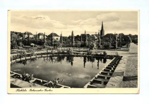 Ak Süchteln Botanischer Garten 1940