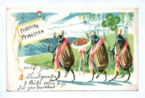 Künstler Ak Fröhliche Pfingsten Käfer wandern mit Blumen 1911
