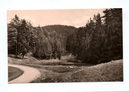 Foto Ak Hinternah Thüringen Kohlbachteich 1963