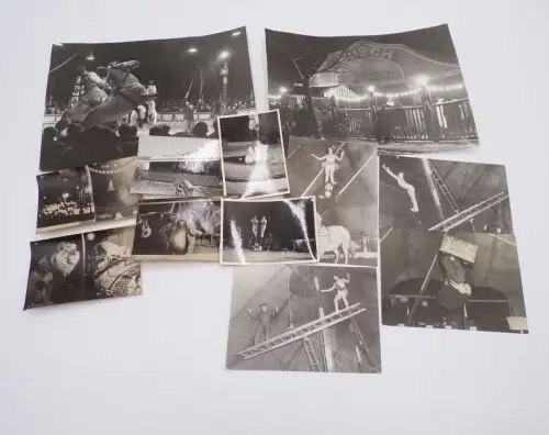Foto Lot Zirkus Manege Busch Postkarten