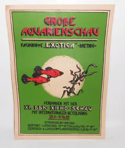 Plakat 1983 Aquarienschau Fachgruppe Exotica Bretnig DDR Xipho - Schau Fische 