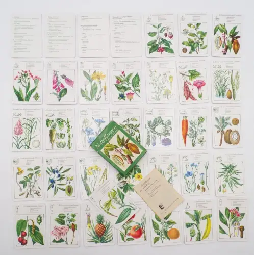 Nutzpflanzen aus aller Welt Quartettspiel DDR 1984 Kartenspiel