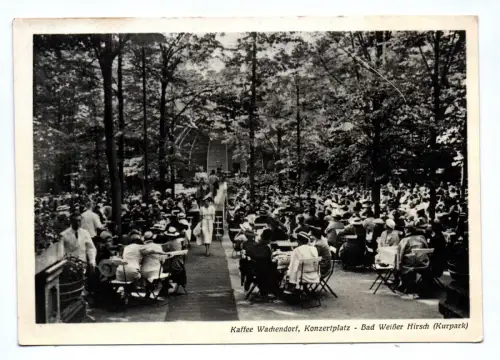 Ak Kaffee Wachendorf Konzertplatz Bad Weißer Hirsch Kurpark Dresden