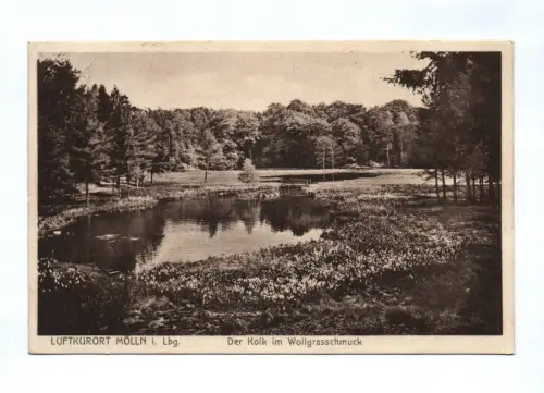Ak Luftkurort Mölln in Lauenburg Der Kolk im Wollgrasschmuck 1931