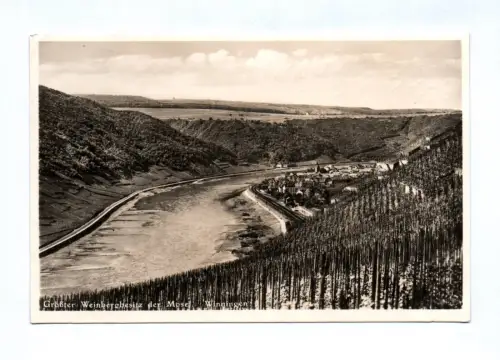 Foto Ak Größter Weinbergbesitz der Mosel Winningen 1936