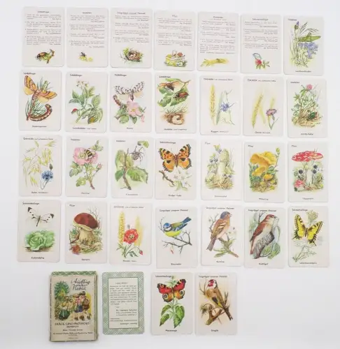 Ausflug in die Natur Frage und Antwort Quartett Veronika Fritsche 1954 