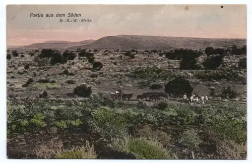 Ak DSWA Partie aus dem Süden Kolonie Deutsch Südwest Afrika 1910er
