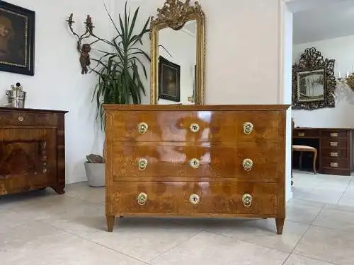 Sale Restaurierte Biedermeier Kommode Eschenholz A4532