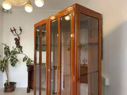 Restaurierter Jugendstil Vitrine Bücherschrank Vitrinenschrank A4927