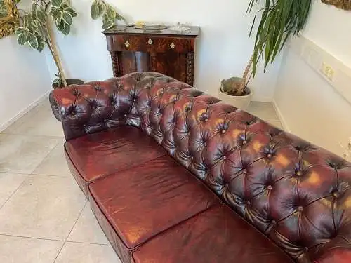 Cult Chesterfield 3er Sofa Couch Clubsofa A4897