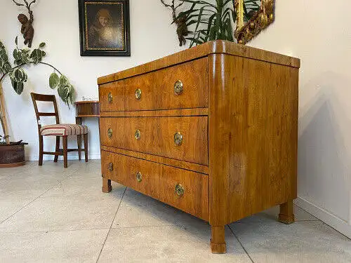 Sale Restaurierte Biedermeier Kommode Eschenholz B1960