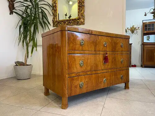 Sale Restaurierte Biedermeier Kommode Eschenholz B1960