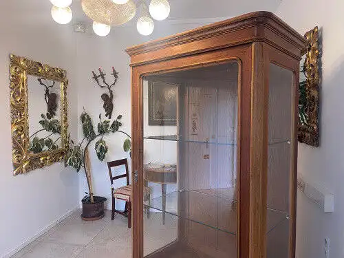 SALE Biedermeier Vitrine Bücherschrank Sammlervitrine, Nussholz G1055