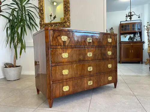 Restaurierte Biedermeier Kommode 4 Ladenkommode Nussholz Antiquität G1124