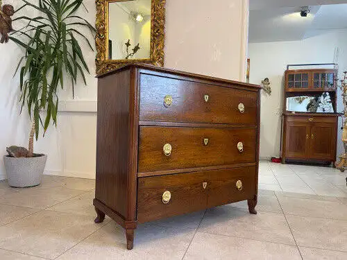 Sale Altrestaurierte Spät Biedermeier Kommode 3 Ladenkommode Antiquität G1202