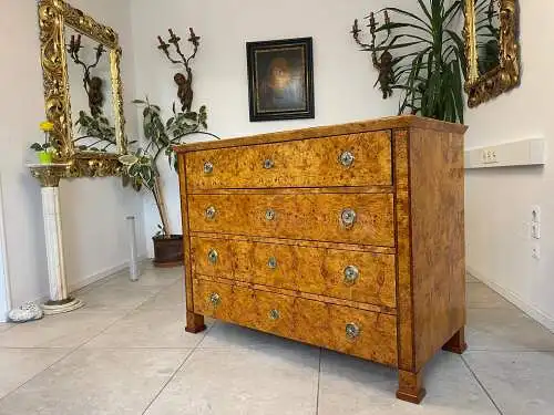 Restaurierte Biedermeier Schreibkommode Sekretär Nussholz Antiquität G1506