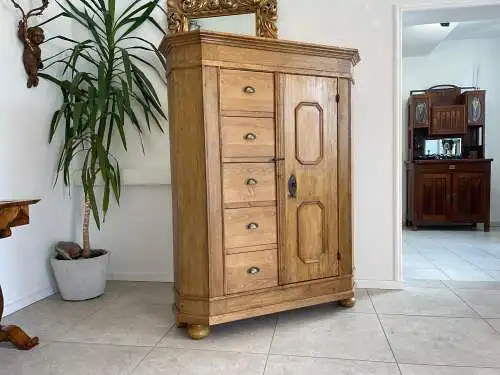 Uriger Biedermeier Brotschrank Almerschrank Speiskasten Bauernkasten G1648