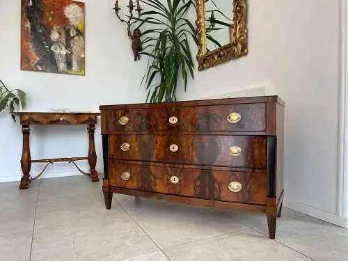 Sale Restaurierte Biedermeier Kommode Schwarze Lasenen Antiquität G1676