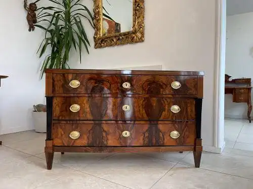 Sale Restaurierte Biedermeier Kommode Schwarze Lasenen Antiquität G1676