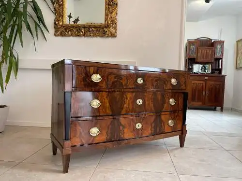 Sale Restaurierte Biedermeier Kommode Schwarze Lasenen Antiquität G1676