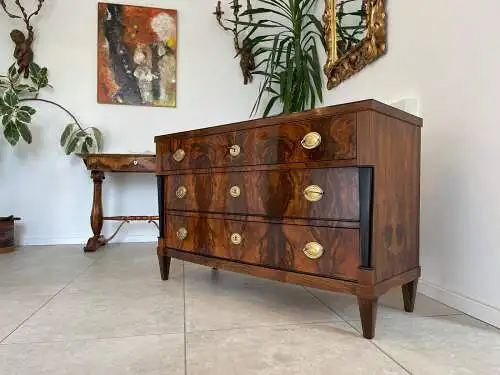 Sale Restaurierte Biedermeier Kommode Schwarze Lasenen Antiquität G1676