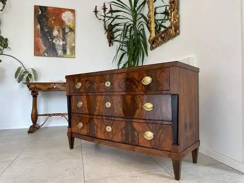Sale Restaurierte Biedermeier Kommode Schwarze Lasenen Antiquität G1676