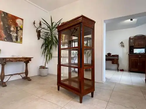 Originale Biedermeier Säulen Vitrine Glasschrank Antiquität Bücherschrank G1673