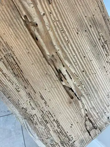 urige Anrichte Bücherregal Brotschrank Ladenschrank Ladenkommode Antik G1698