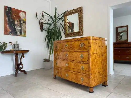 Restaurierte Biedermeier Schreibkommode Sekretär Pappelholz Antiquität G1747