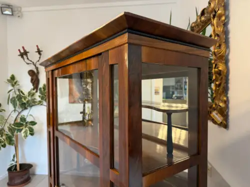 SALE Restaurierte Biedermeier Vitrine Bücherschrank ANTIQUITÄT G2085