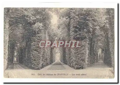 Parc du chateau de Chantilly Cartes postales Les trois allees
