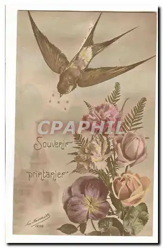Cartes postales Souvenir printanier Hirondelle Rose