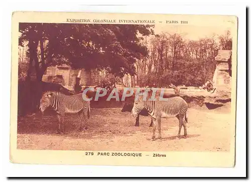Cartes postales Parc zoologique Zebres Exposition coloniale internationale Paris 1931