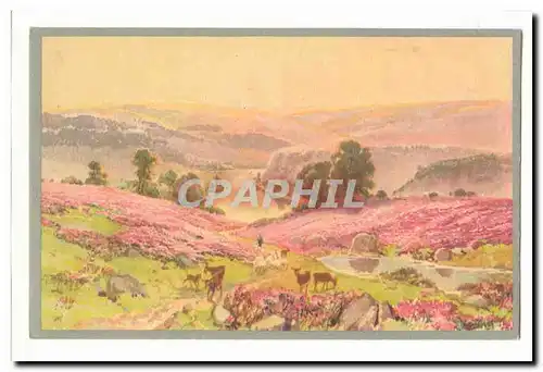 Cartes postales Fantaisie Paysage