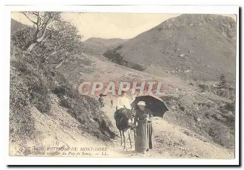 Environs du Mont Dore Ansichtskarte AK Chemin muletier du Puy de Sancy (ane donkey)