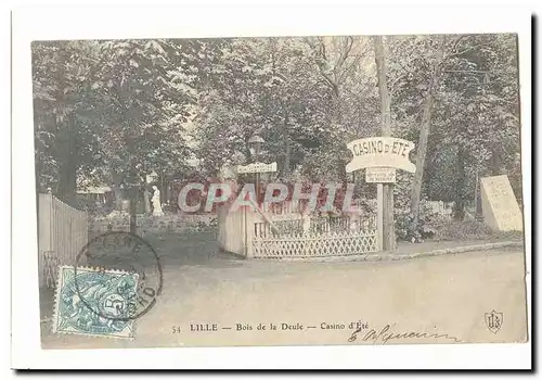 Lille Cartes postales Bois de la Deule Casino d&#39ete