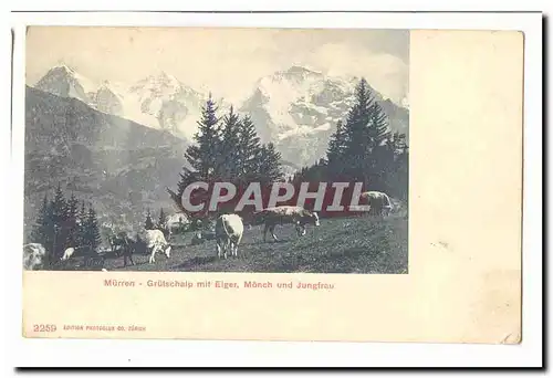 Suisse Murren Cartes postales Grutschalp mit Eiger Monch und Jungfrau (vaches)