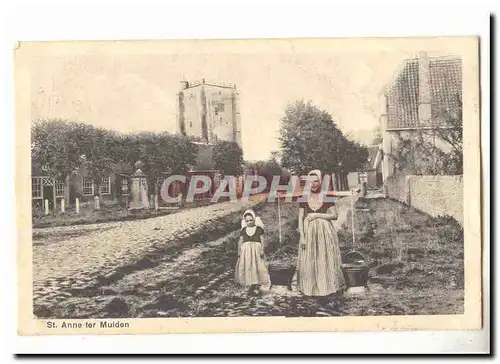 Pays Bas St Anne ter Muden Cartes postales (fermiere)