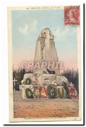 Cartes postales Bois des Caures pres Verdun Monument du colonel Driant et de ses chasseurs